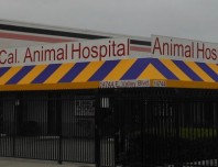 Animal Hospital Awning
